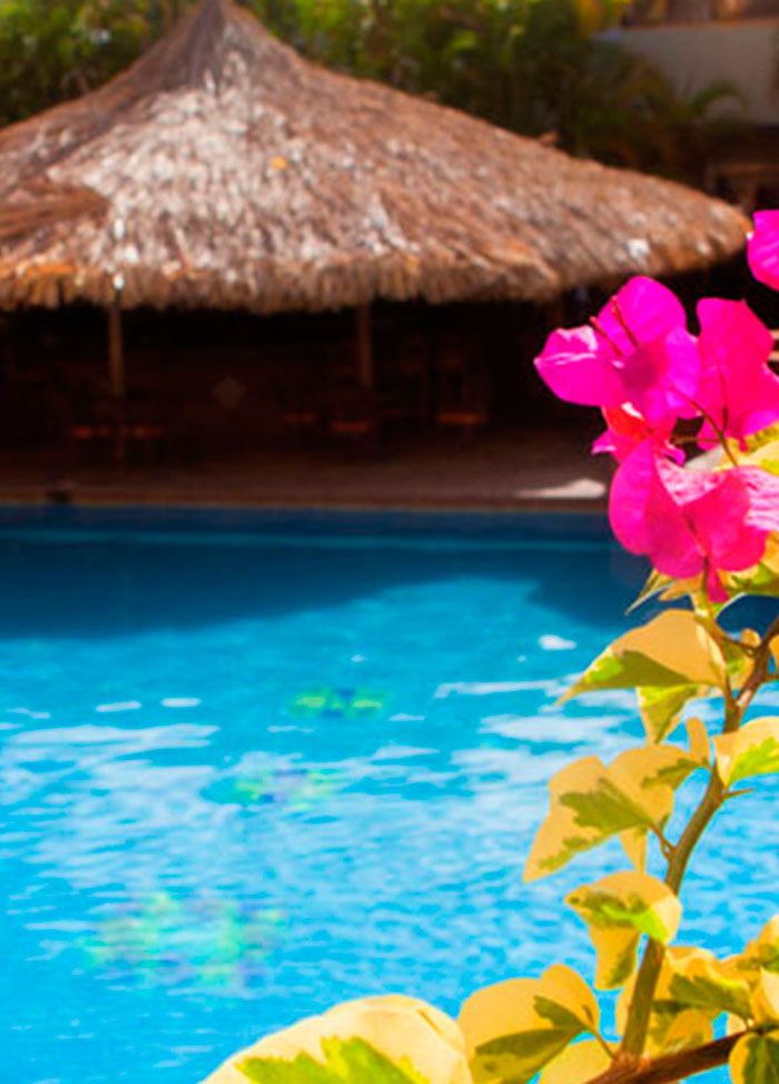 Hotel Margarita Dynasty